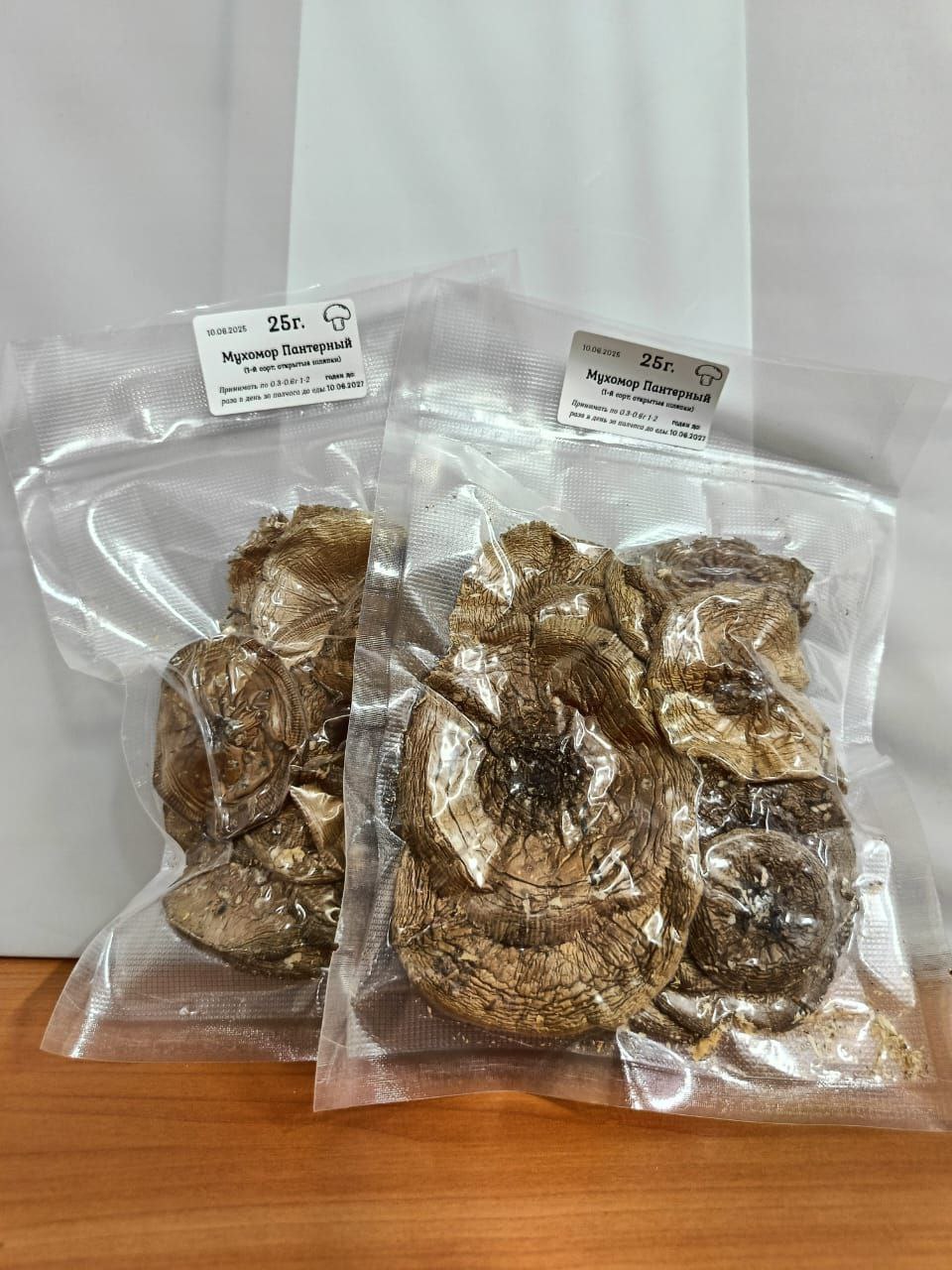 Мухомор Пантерный, Алтай 2025 год